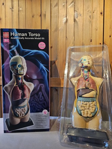 Betzold torso cm - betzold, 50