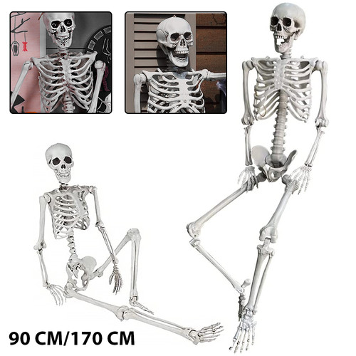 Skelett halloween lebensgroß - skelett,